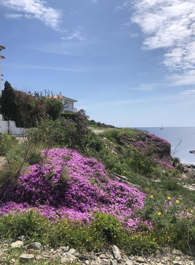 Beachfront Duplex With Terrace And Sea Views - カダケス エクステリア 写真